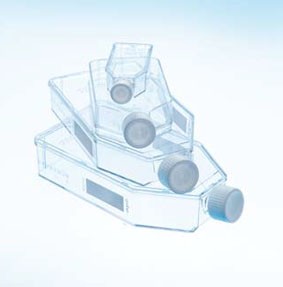 标准盖悬浮细胞培养瓶