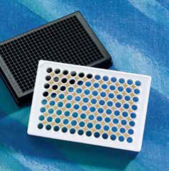 Corning® 多聚赖氨酸包被微孔板